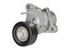 Tension Roller:252812A100，252812A000
