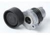 Tension Roller Tension Roller:117506193R，VKM36138